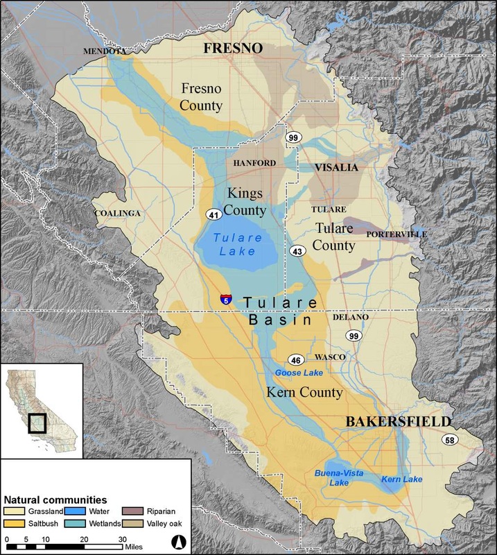 Tulare Basin 1850